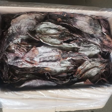 Sotong Kering Size XL - 10Kg