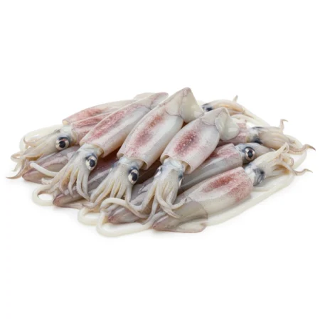 Sotong - Squid Whole (12Kg)