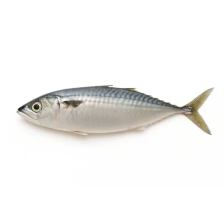 Ikan Kembong - Mackerel (10Kg)