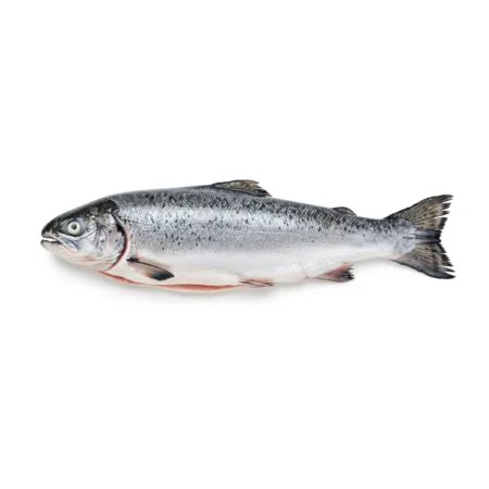 Ikan Salmon - Salmon (±27Kg)