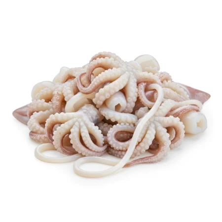 Sesungut Sotong - Squid Tentacles (10Kg)
