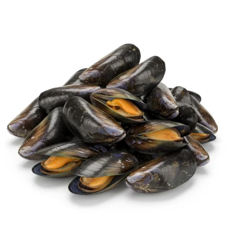 Kupang - Mussel Whole Shell (5Kg)