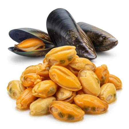 Daging Kupang - Mussel Meat (10Kg)