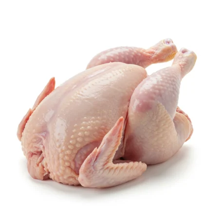 Ayam Dara