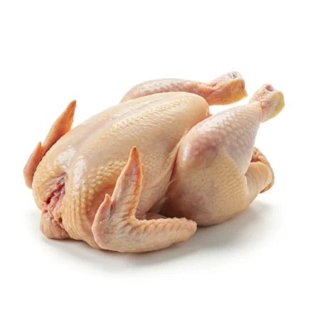 Ayam Pencen (Tua)