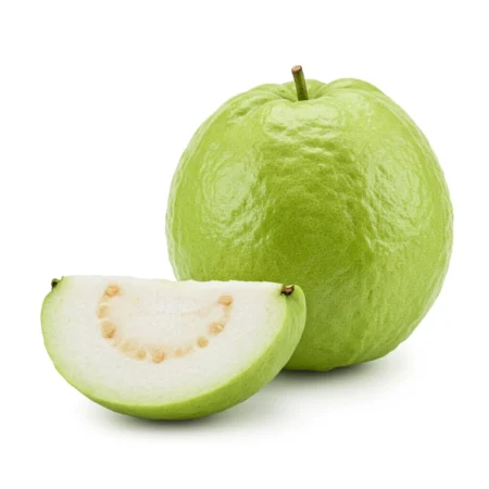 Jambu Batu - Lohan