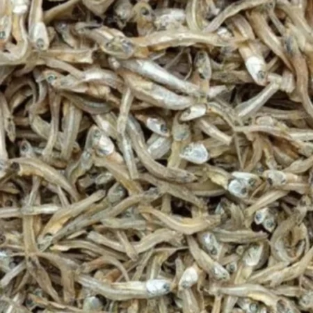 Ikan Bilis Thailand Batang Kasar (10Kg)