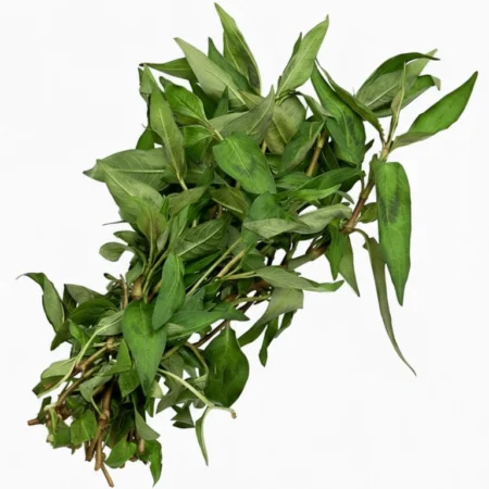 Daun Kesum