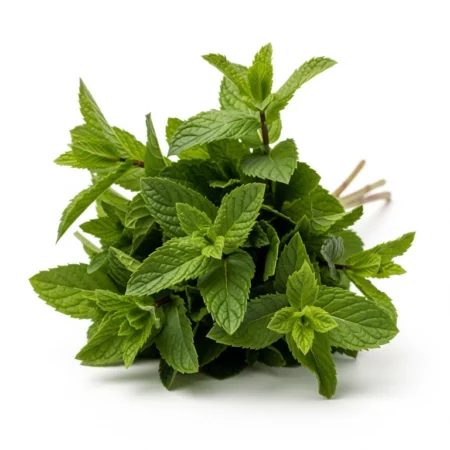 Pudina - 1Kg