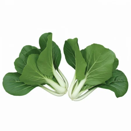 Sawi Putih - 1Kg