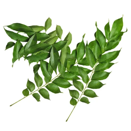 Daun Kari - 1Kg