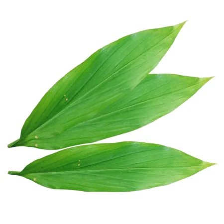 Daun Kunyit - 1Kg