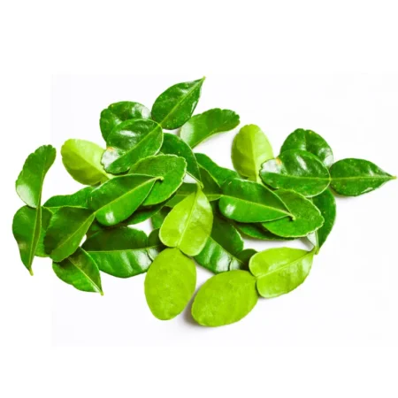 Daun Limau