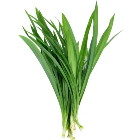 Daun Pandan