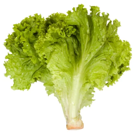 Salad - 5Kg