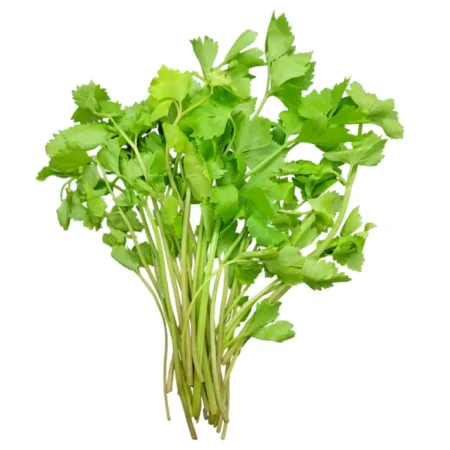 Daun Sup - 1Kg