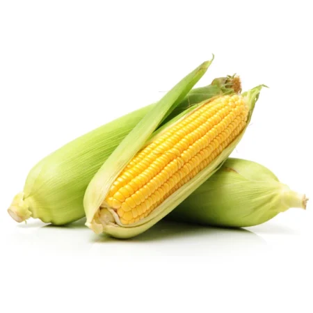Jagung Bag - 5Kg