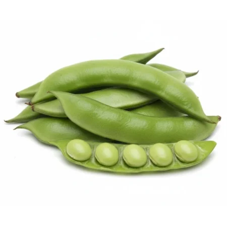 Kacang Kayu - 10Kg