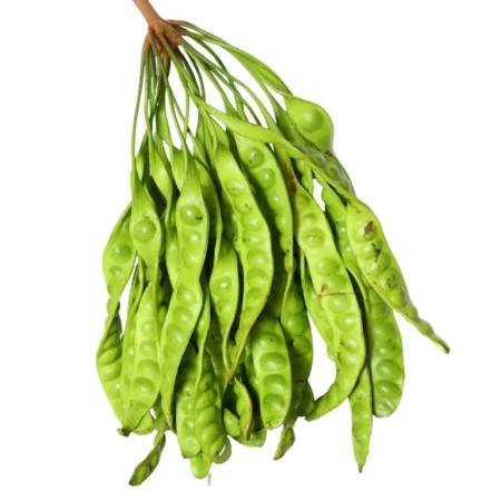 Petai