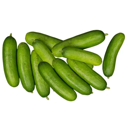 Timun Baby - 10Kg